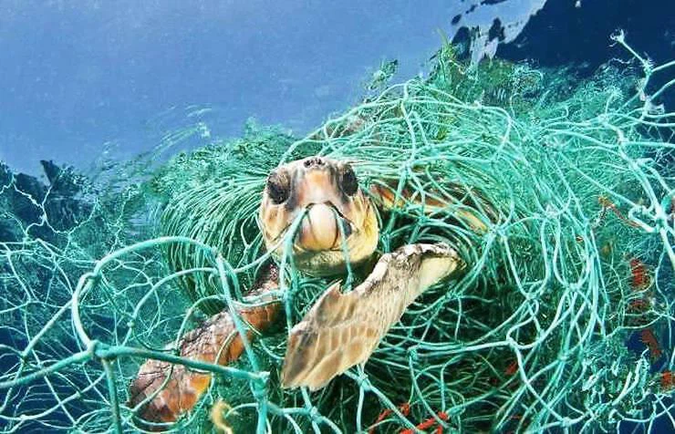 Plastik Adalah Musuh